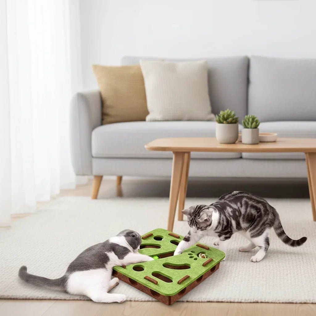 Jouet Puzzle pour Chats 3-en-1 | Griffoir Maisonnette - Mimidol