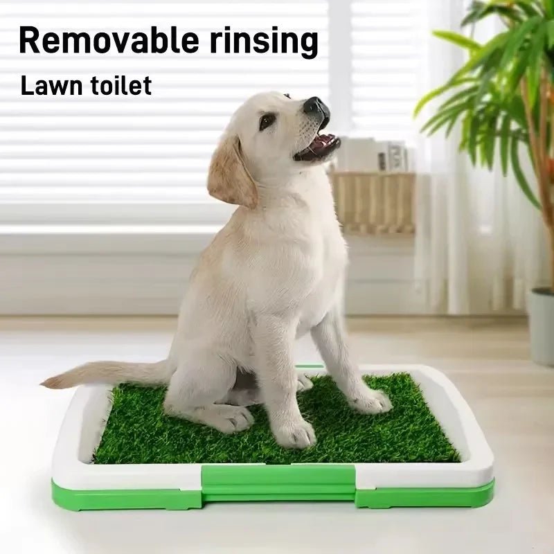 Toilettes pour Chiens - Éducation facile et pratique! - Mimidol